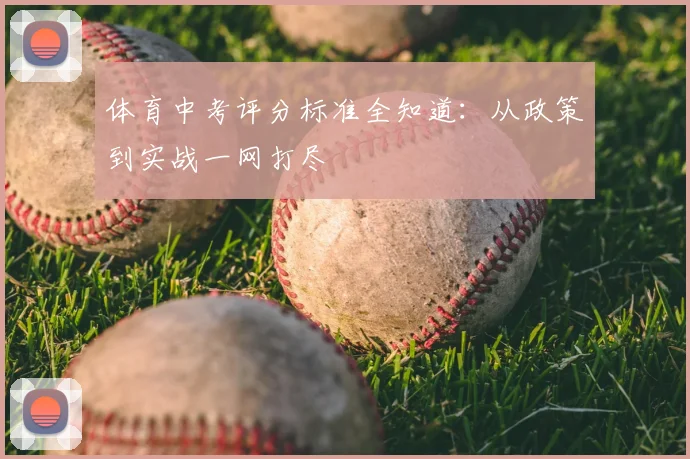 体育中考评分标准全知道:从政策到实战一网打尽