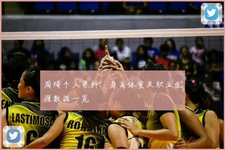 周琦个人资料:身高体重及职业生涯数据一览